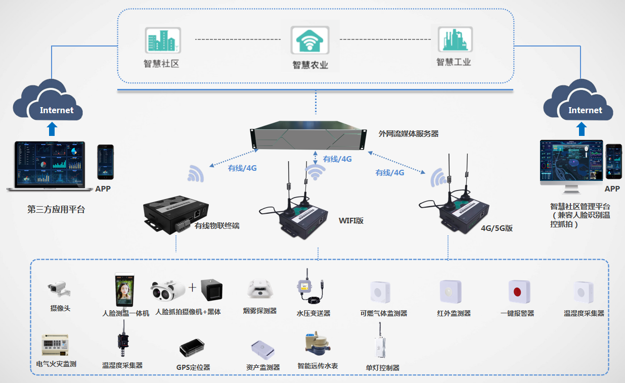 流媒体服务器(图1)