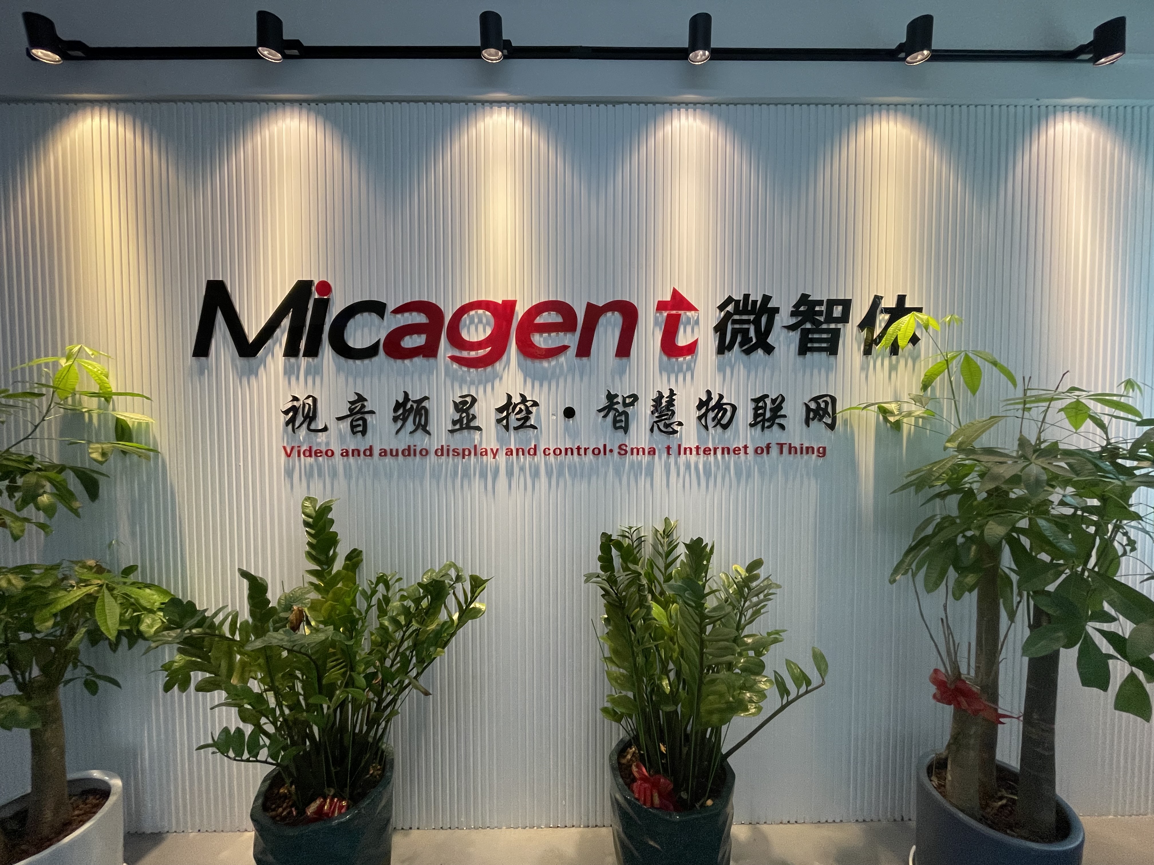 喜讯｜微智体Micagent荣获深圳市“专精特新”企业称号(图2)